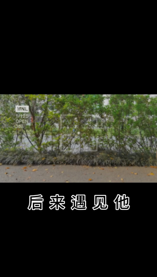 眼看着比赛进行，每一分每一秒都值得期待的简单介绍